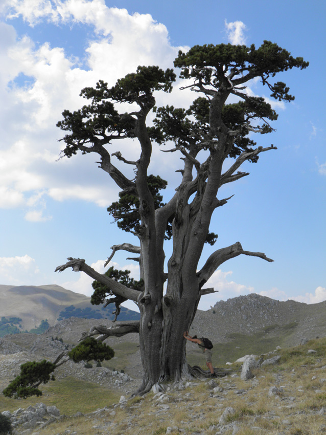 Parco Nazionale del Pollino